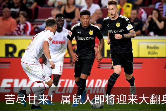 苦尽甘来！属鼠人即将迎来大翻身